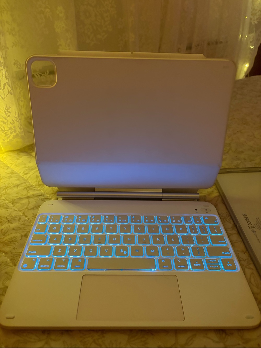 ESR Magic Keyboard for iPad